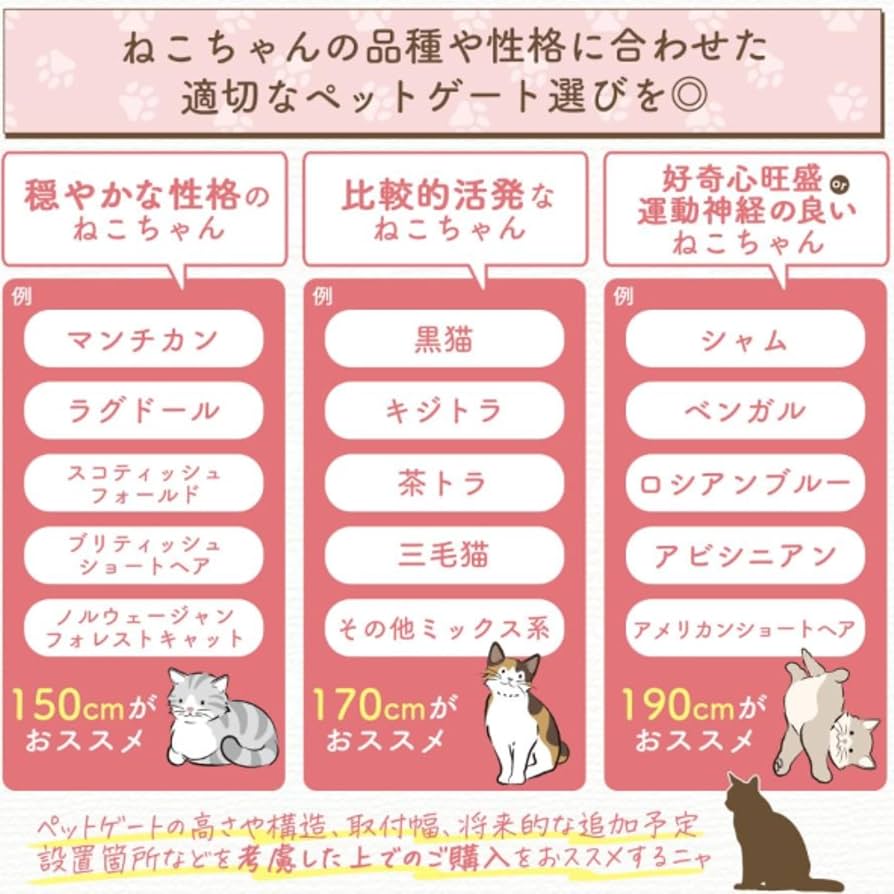 猫みい専用 猫用おもちゃ キャッチ・ミー・イフ・ユー・キャン2 ｜ ミスター